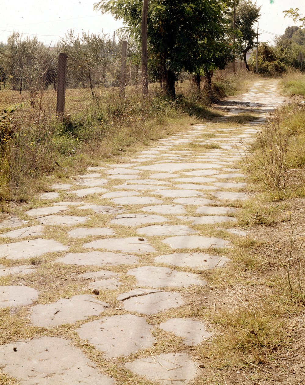 Via Flaminia, Rome by Roman Roman
