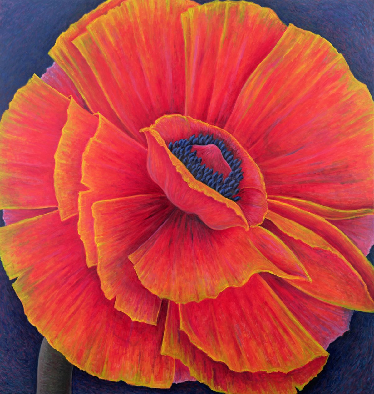 Big Poppy by Ruth Addinall