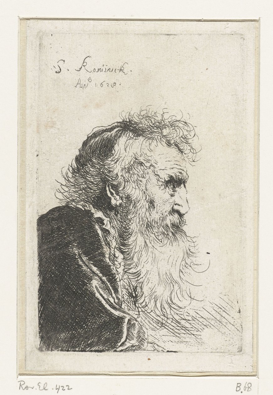 Head of an Old Bearded Man in Profile by Salomon Koninck