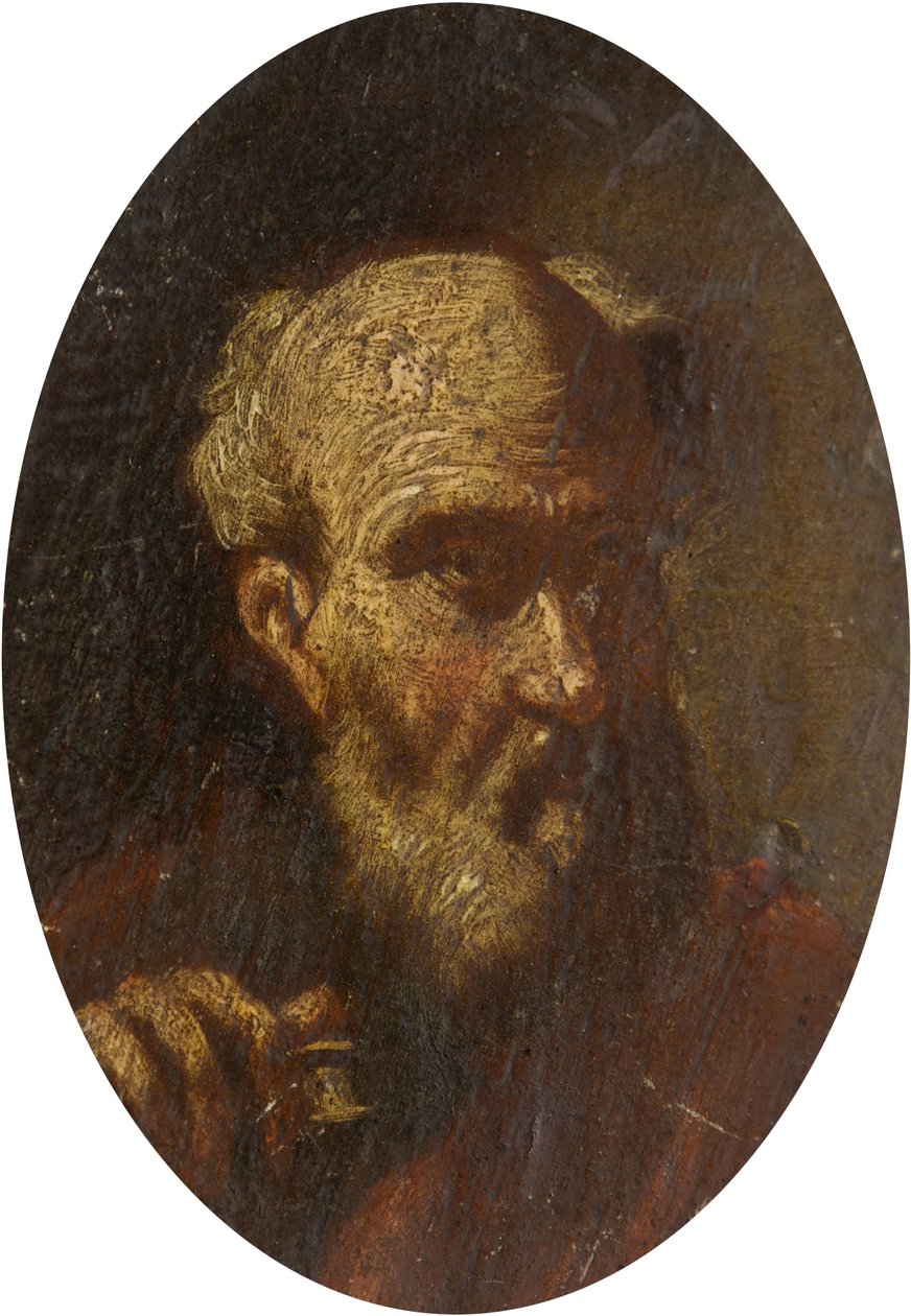 Head of an Old Man by Salvator Rosa