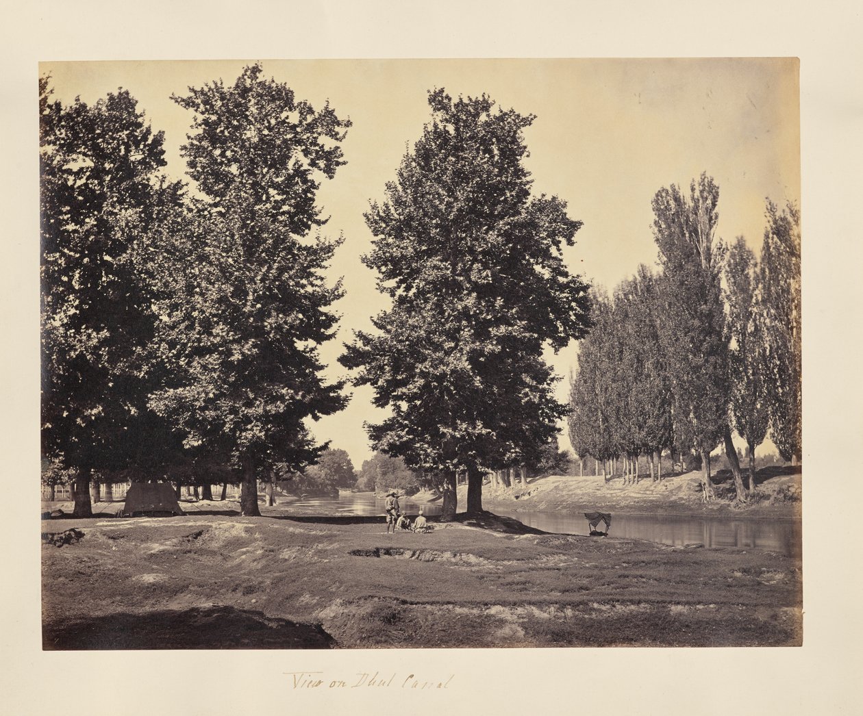 View on Dhul Canal by Samuel Bourne