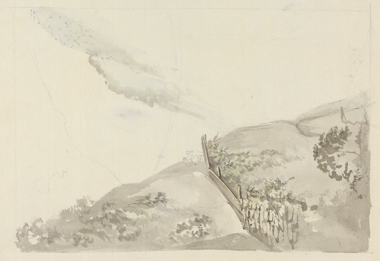 A Fence by a Gorge by Samuel Davis