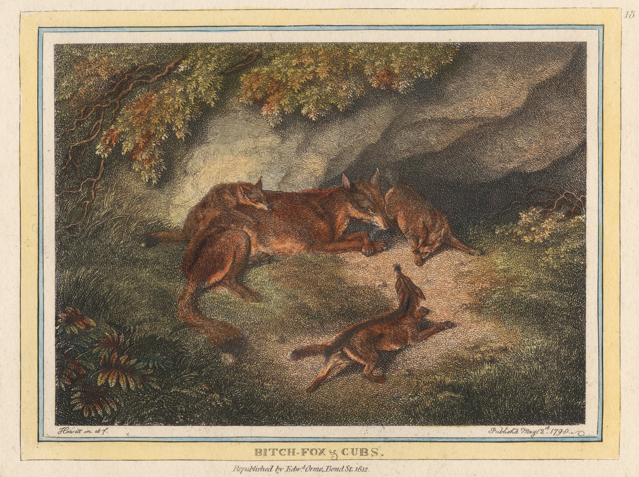 Bitch Fox and Cubs by Samuel Howitt