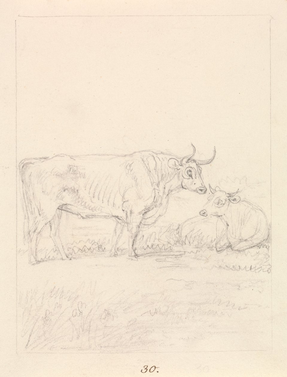 Bull and Cow by Samuel Howitt