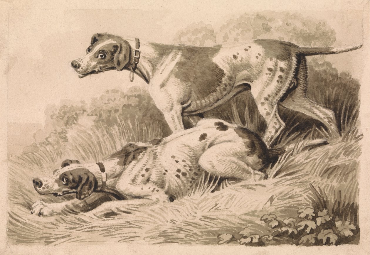 Gun Dogs by Samuel Howitt