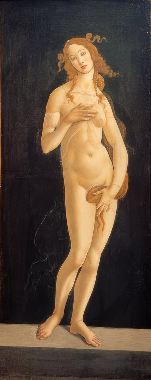 Venus by Sandro Botticelli