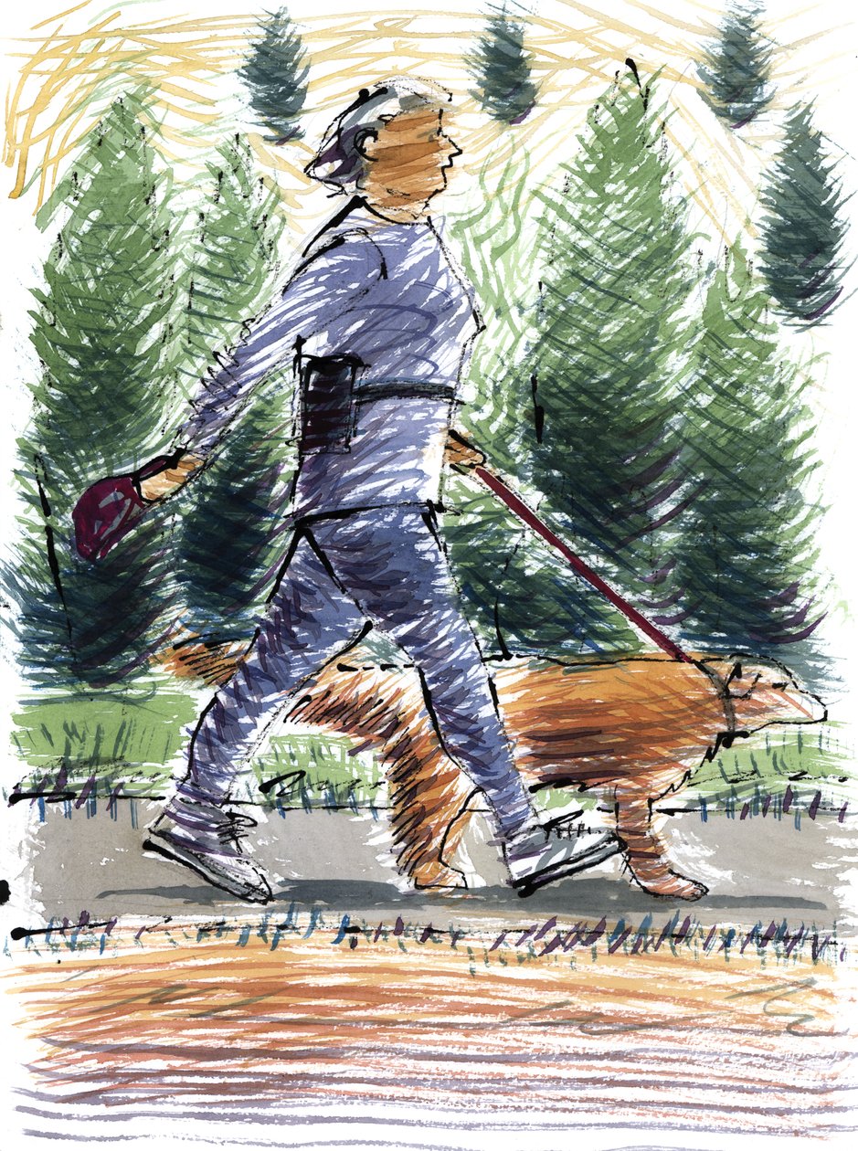 Walking the Dog by Sara Hayward