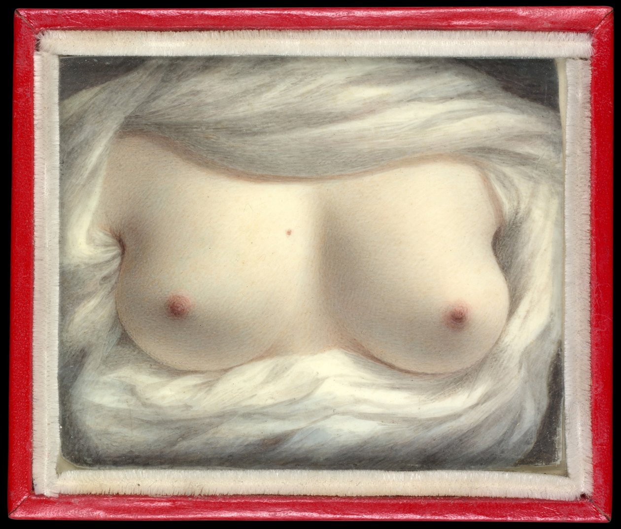Beauty Revealed by Sarah Goodridge