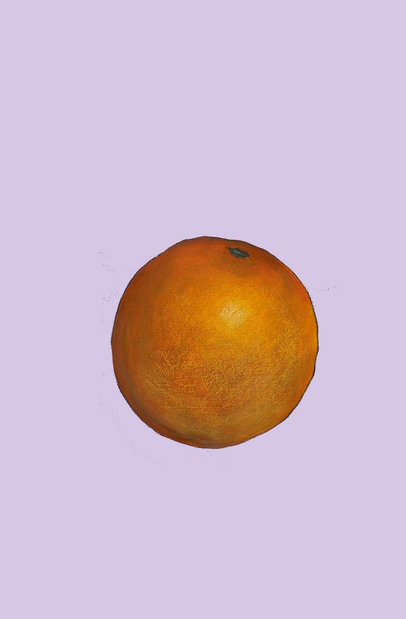 Orange by Sarah Thompson Engels