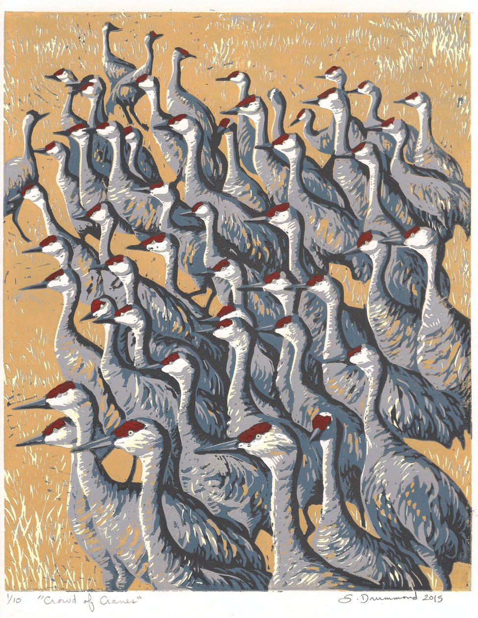 Crowd of Cranes, 2015 (Linocut) by Sarah Drummond