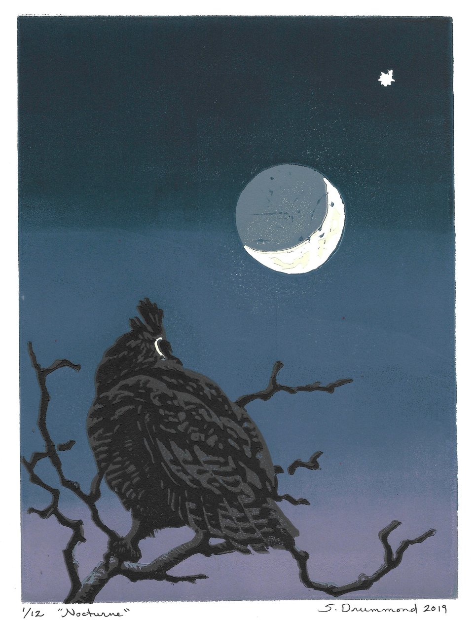 Nocturne by Sarah Drummond