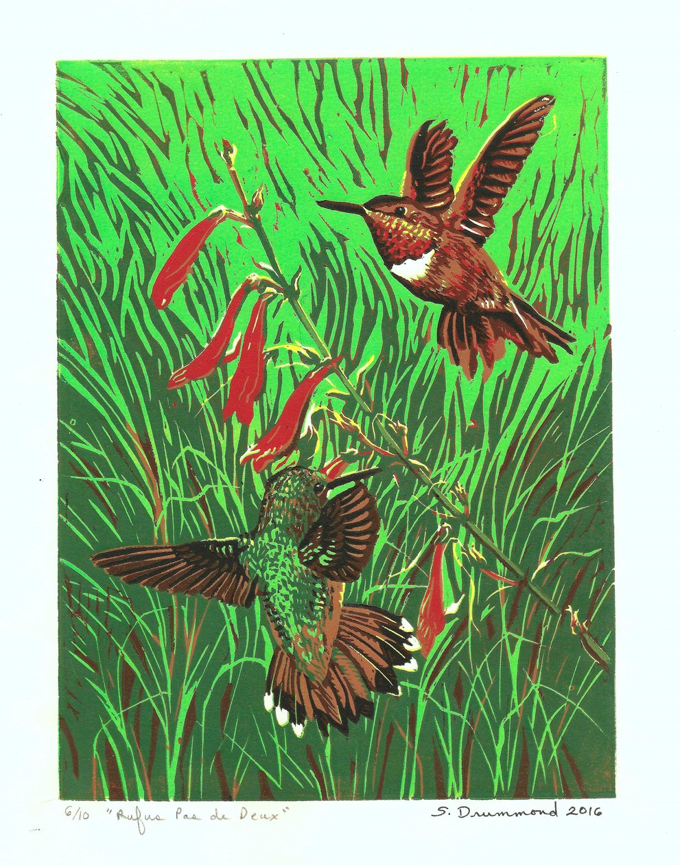 Rufus Pas de Deux by Sarah Drummond