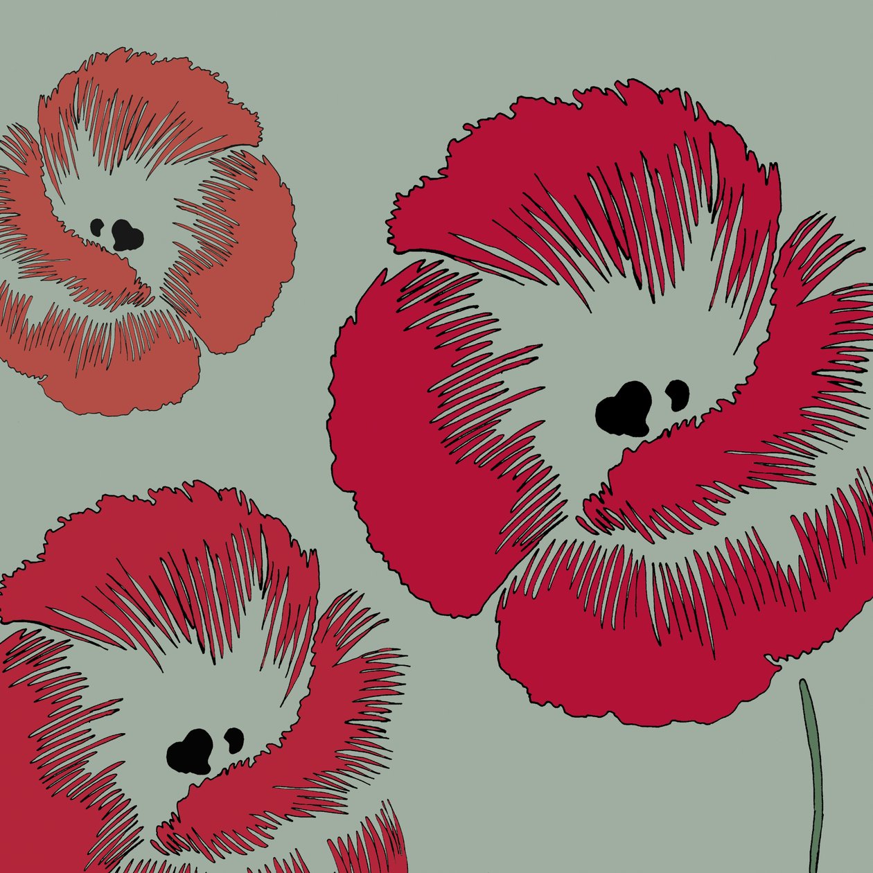 Picnic Poppy, 2005 by Sarah Hough