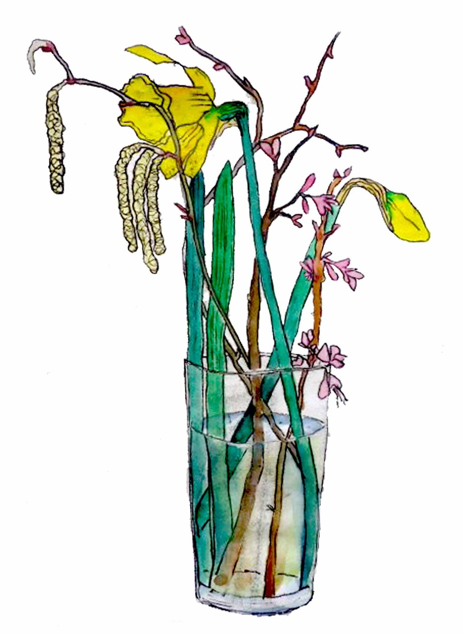 Daffodils and Catkins, 2018 by Sarah Thompson Engels