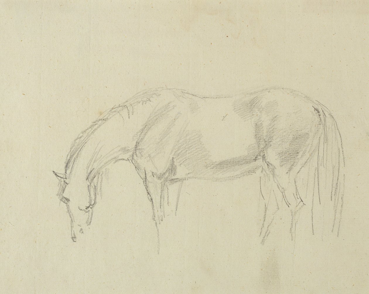 A Horse Grazing by Sawrey Gilpin