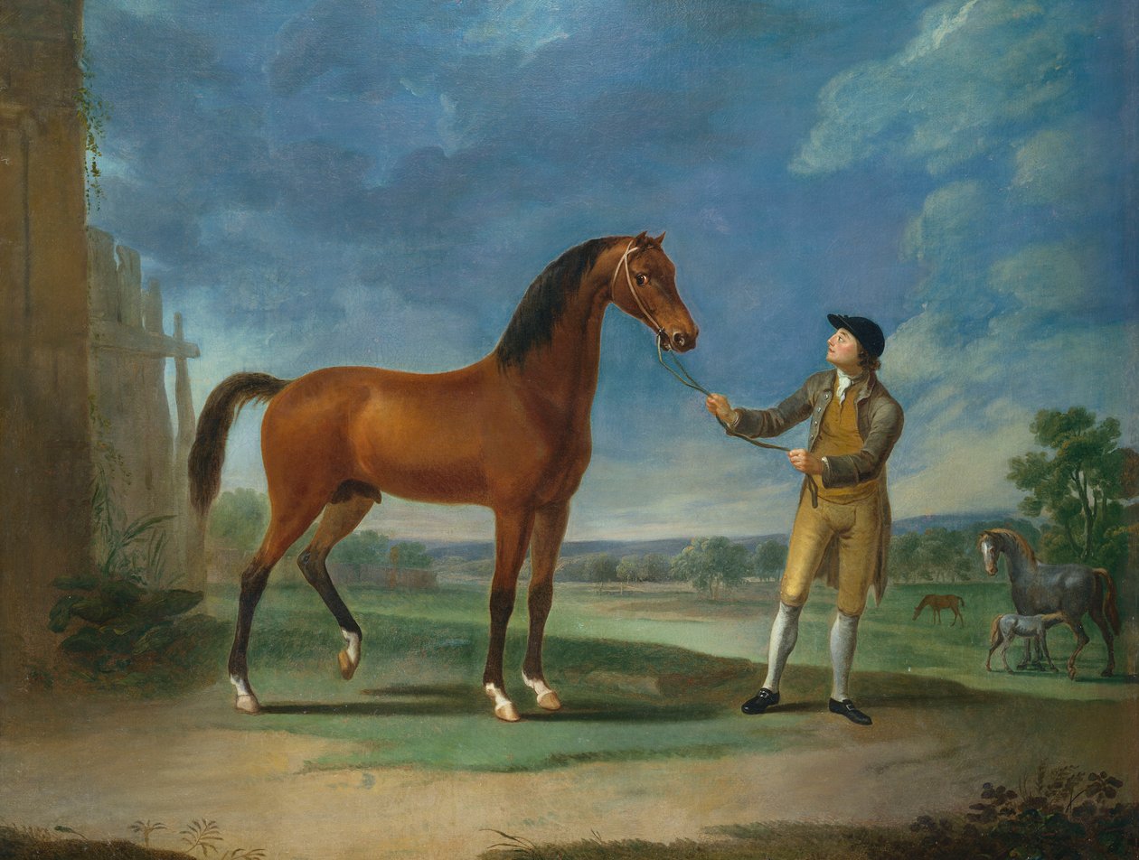 An Arab stallion held by a groom by Sawrey Gilpin