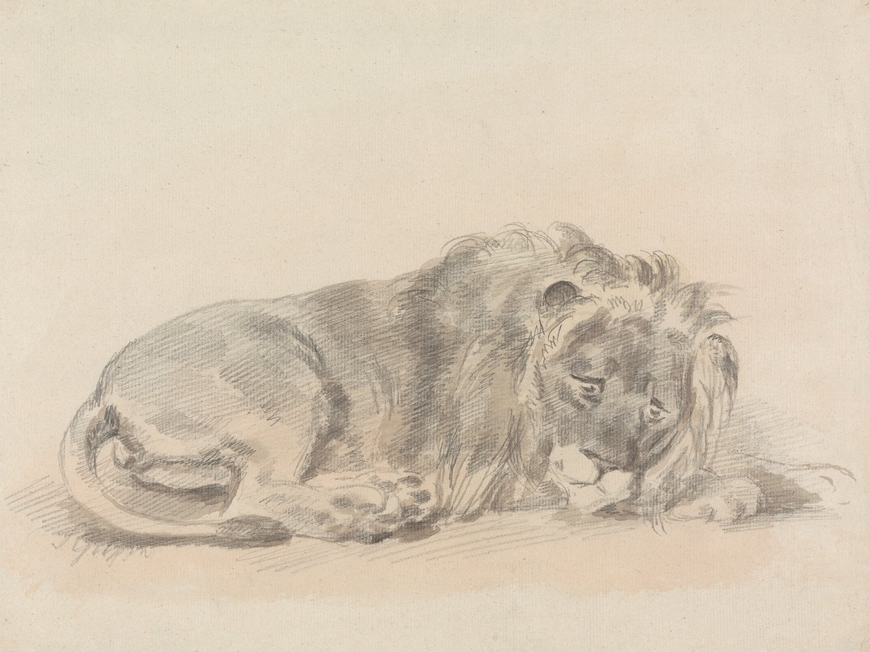 Lion Lying Down by Sawrey Gilpin