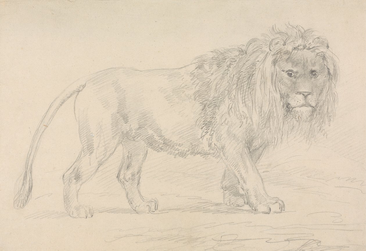 Lion Walking by Sawrey Gilpin
