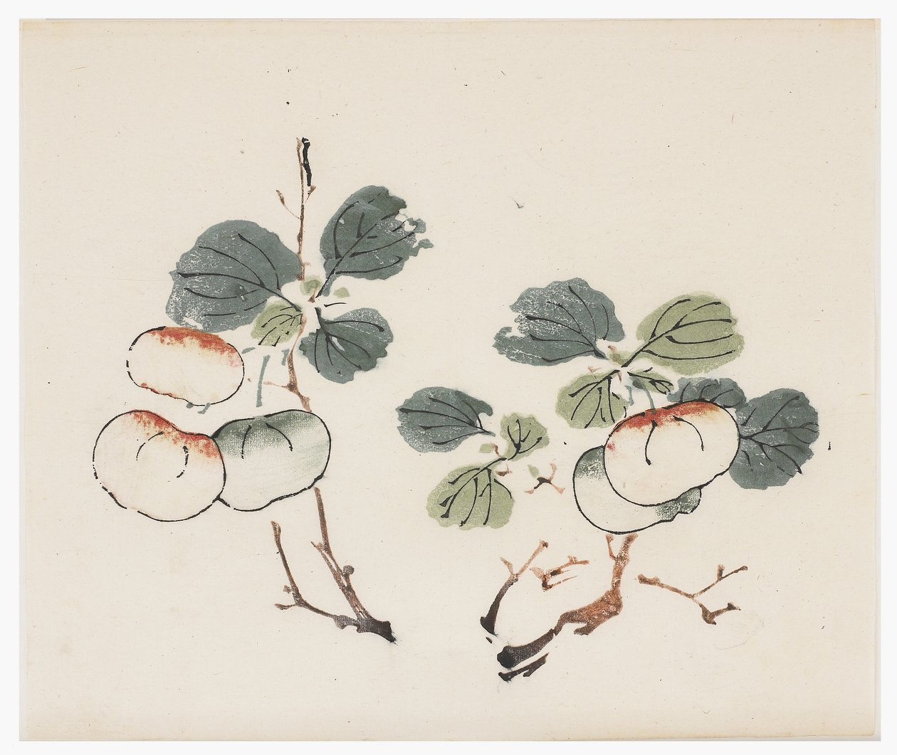 Ten Bamboo Series by School Chinese