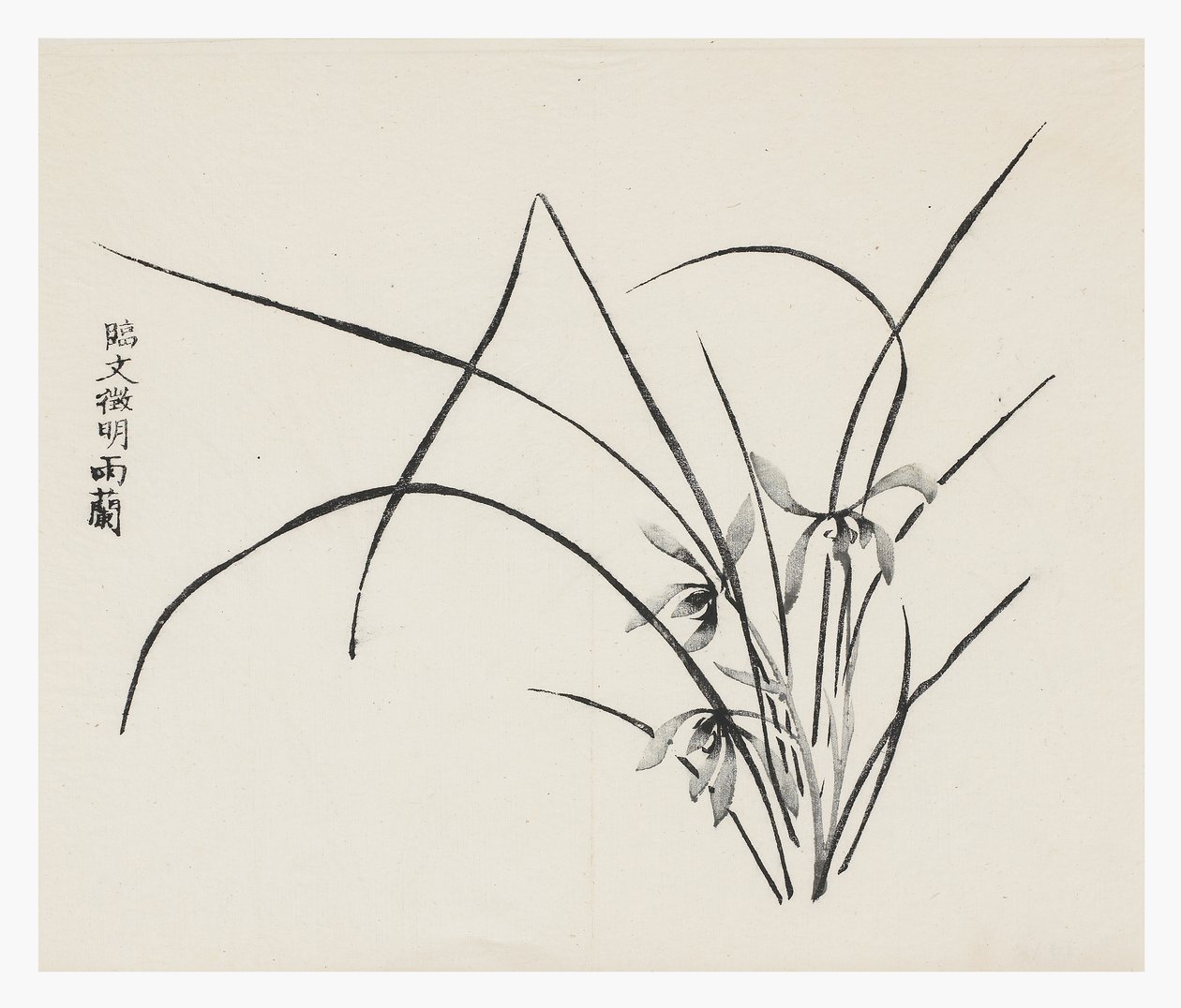 Ten Bamboo Series by School Chinese