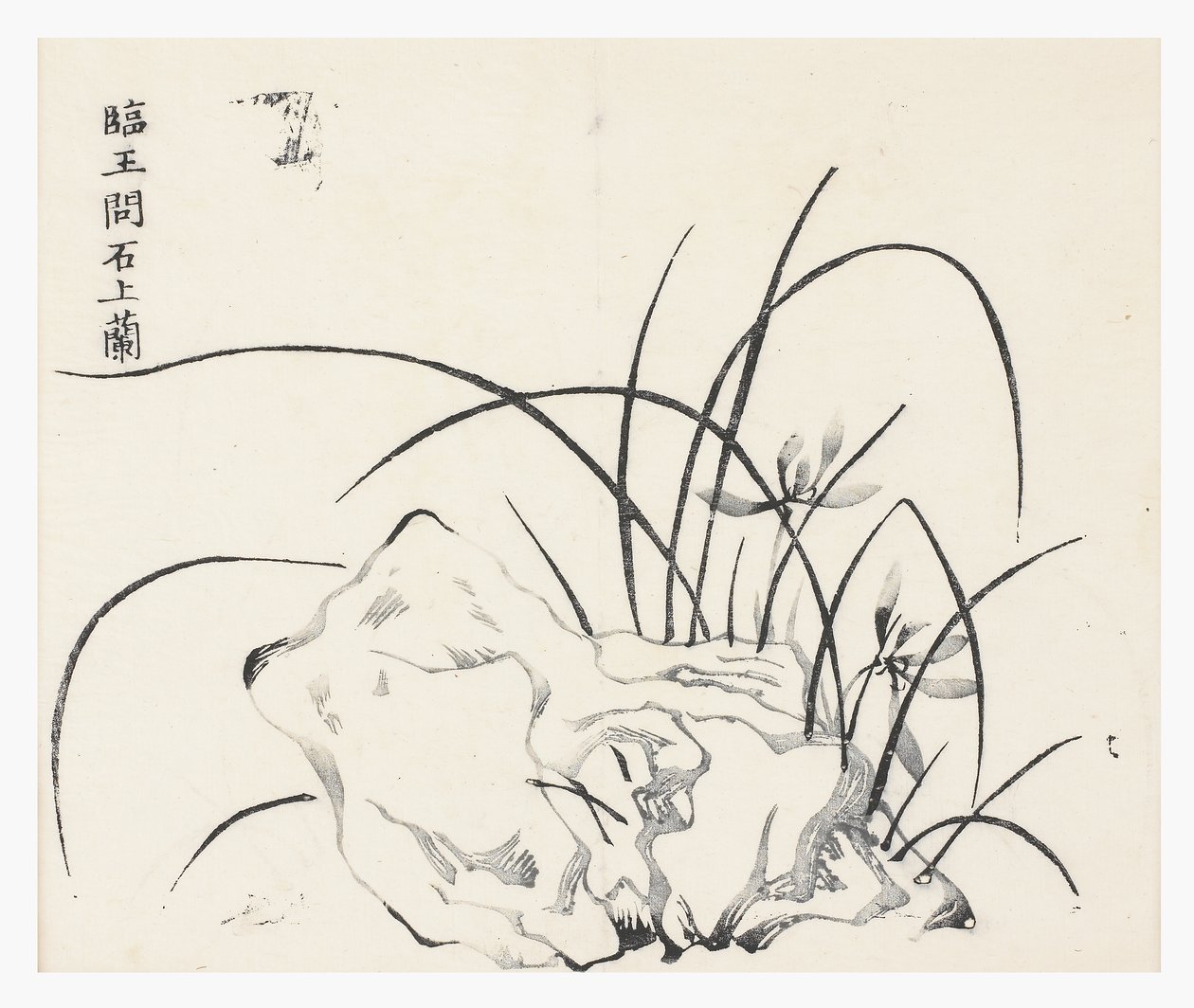 Ten Bamboo Series by School Chinese
