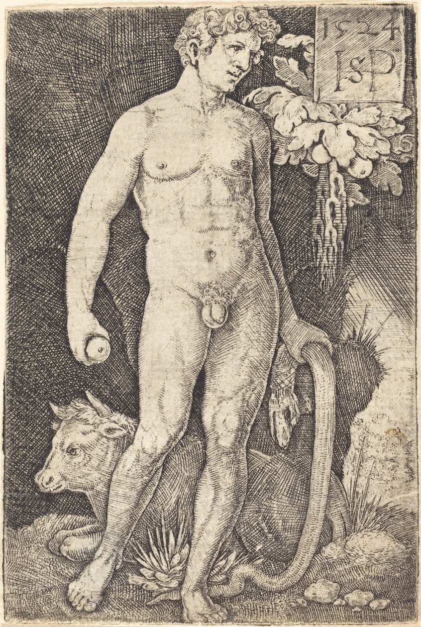 Adam Standing by Sebald Beham