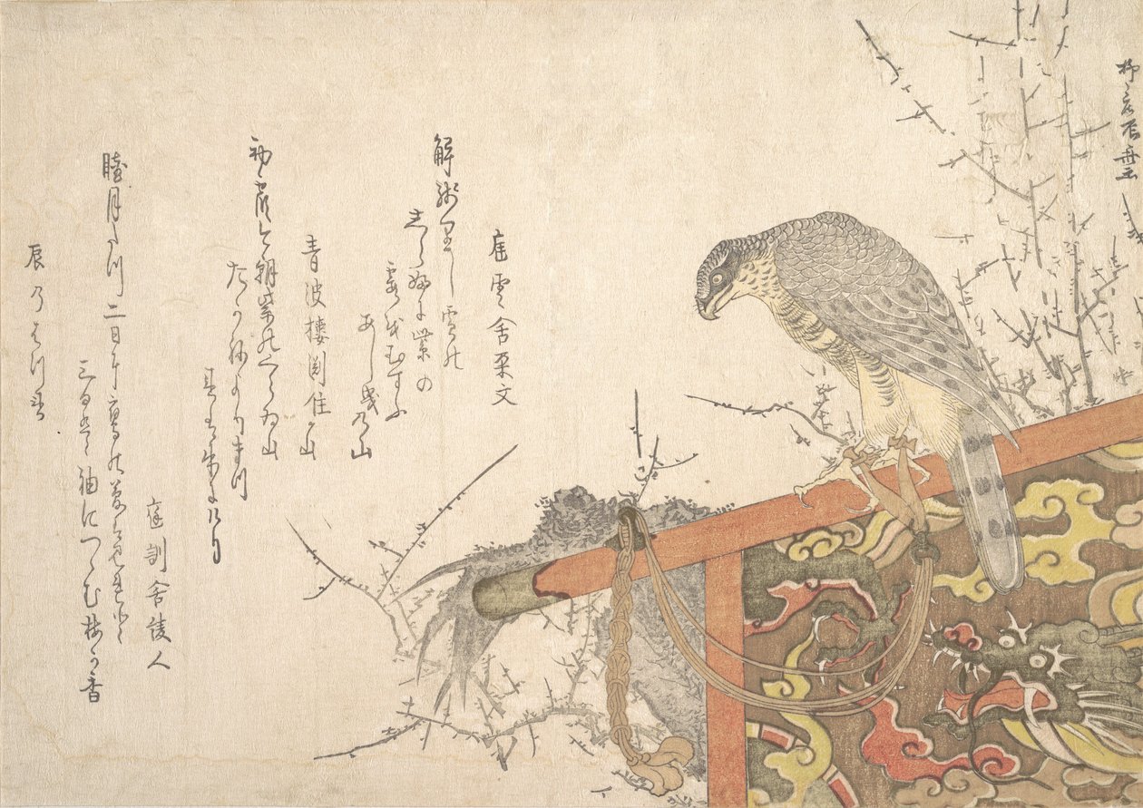 Hawk Tied to Perch by Shinsai