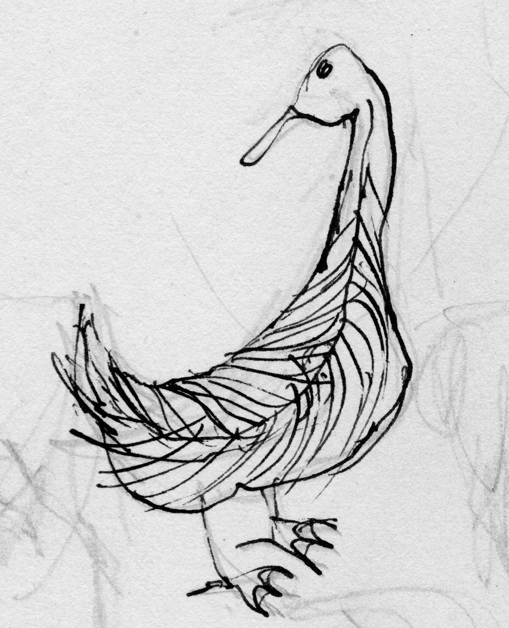 Bird, c1950 by Shirley Markham