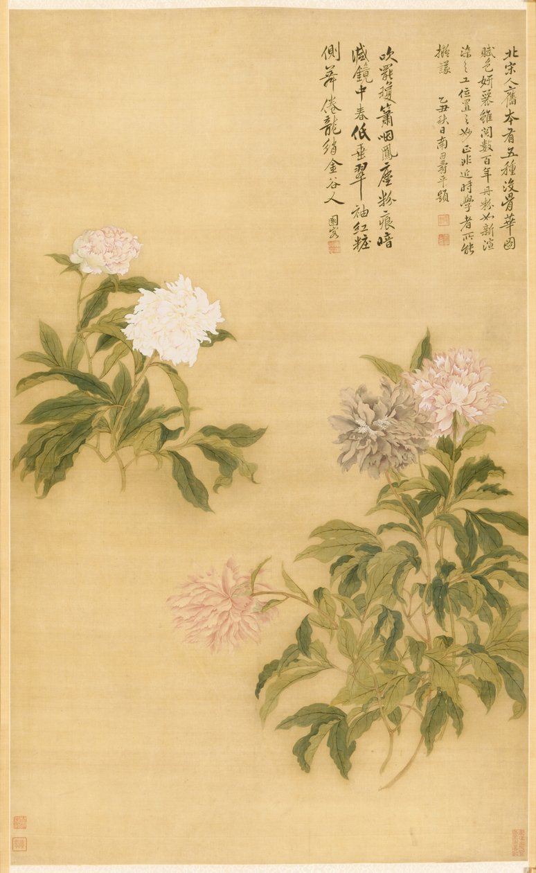 Peonies, Hanging Scroll by Shouping Yun