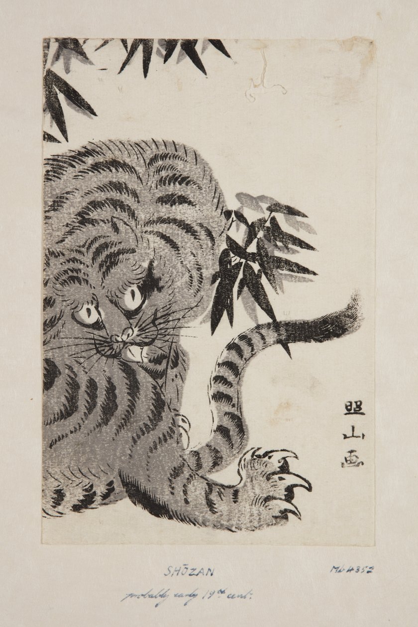 Tiger by Shozan Shozan