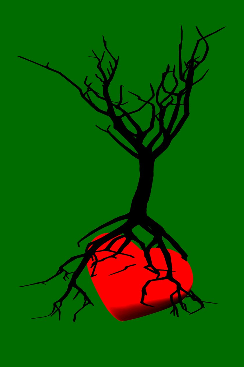 Heart of the Tree by Silvia Martini