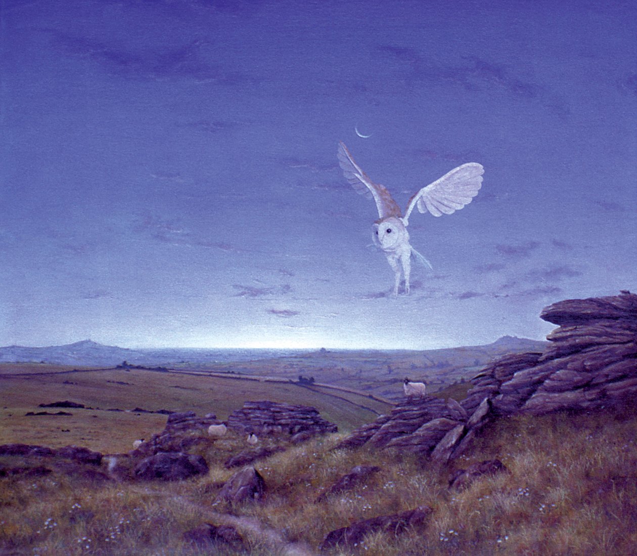 The Moors by Simon Cook