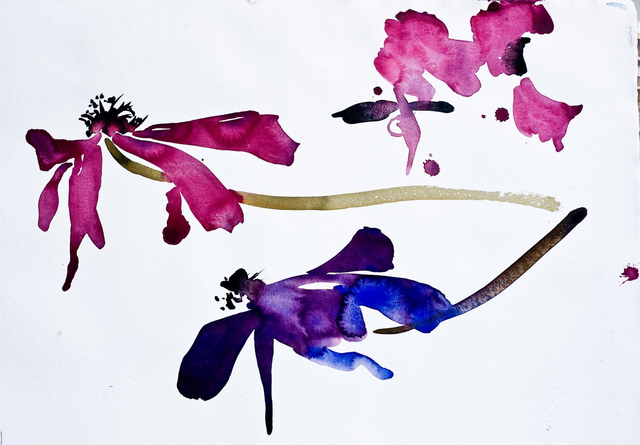 Anemones by Simon Fletcher