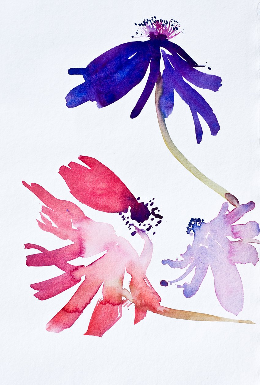 Anemones II, 2010 by Simon Fletcher