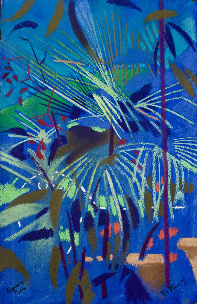 Begonia Palm by Simon Fletcher