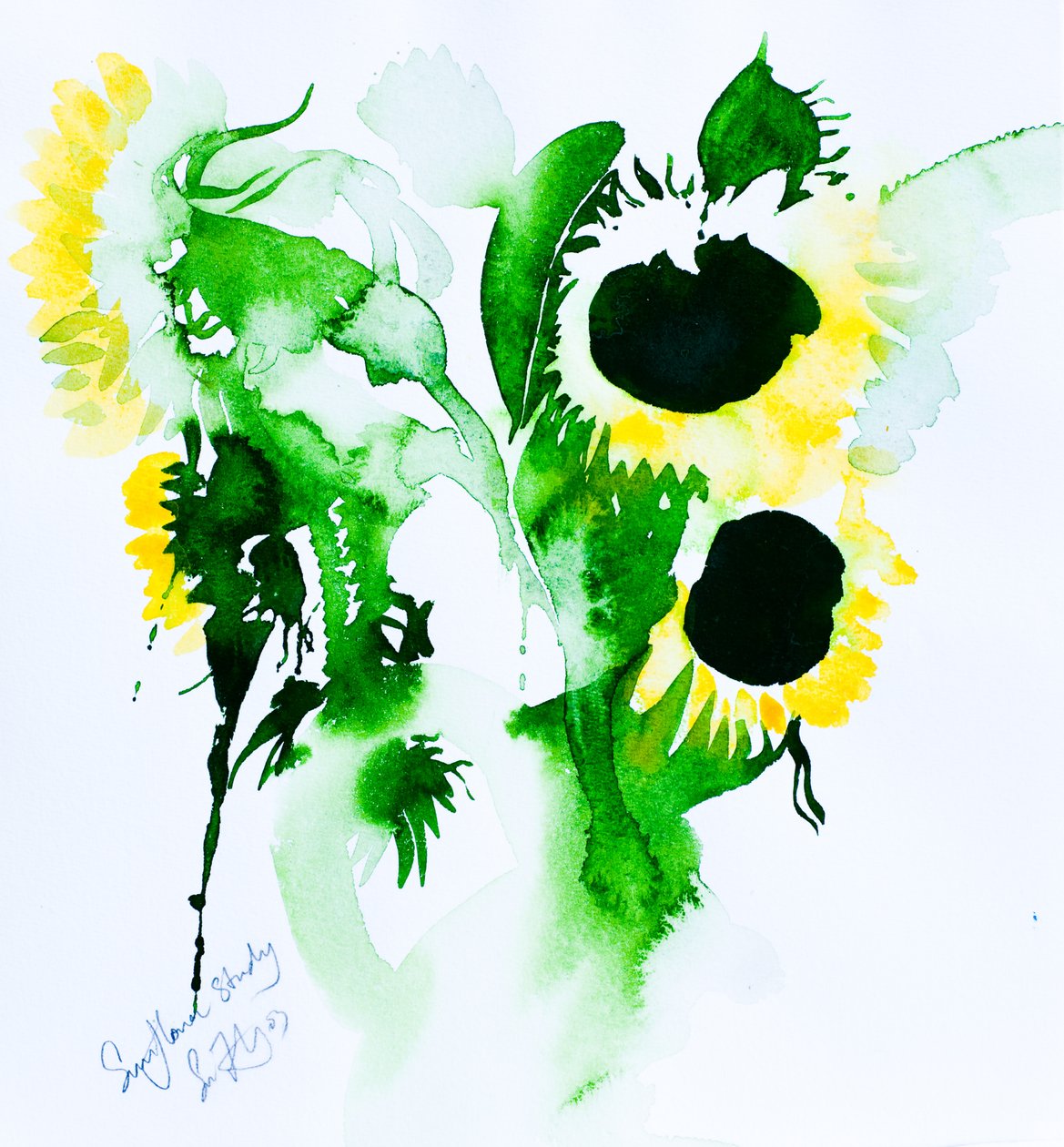 Sunflower Study by Simon Fletcher