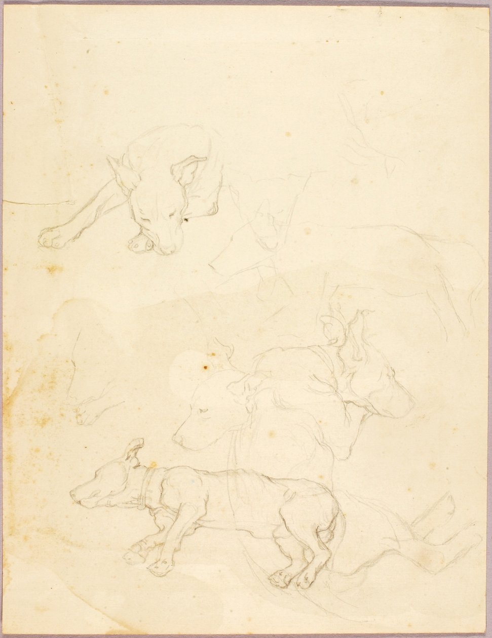 Dogs by Solon H. Borglum