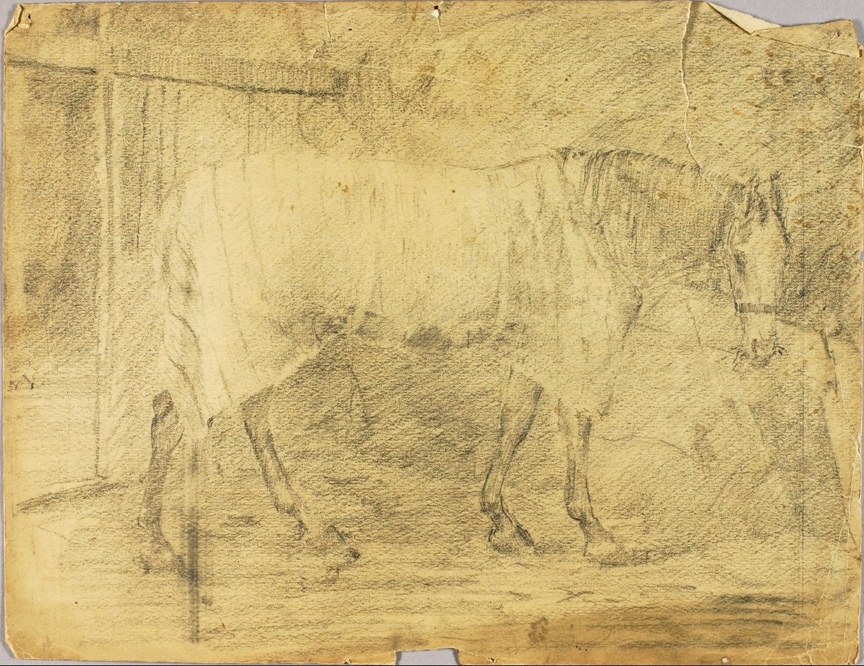 Horse by Solon H. Borglum