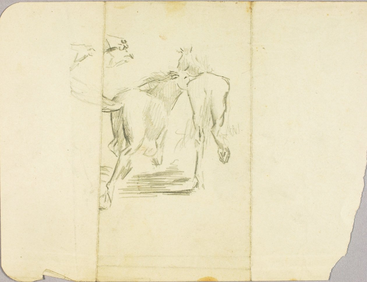 Horses by Solon H. Borglum