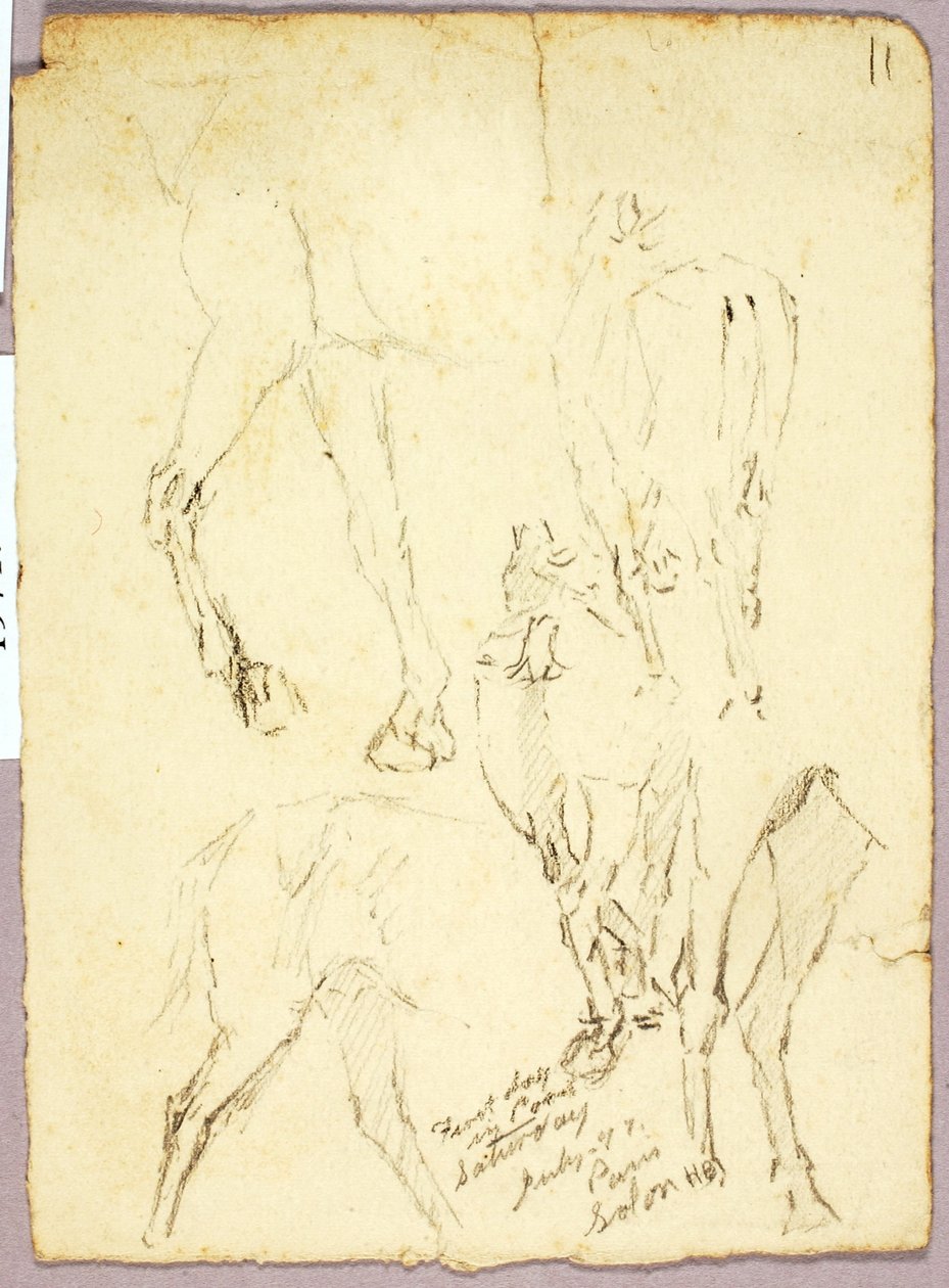 Horses by Solon H. Borglum