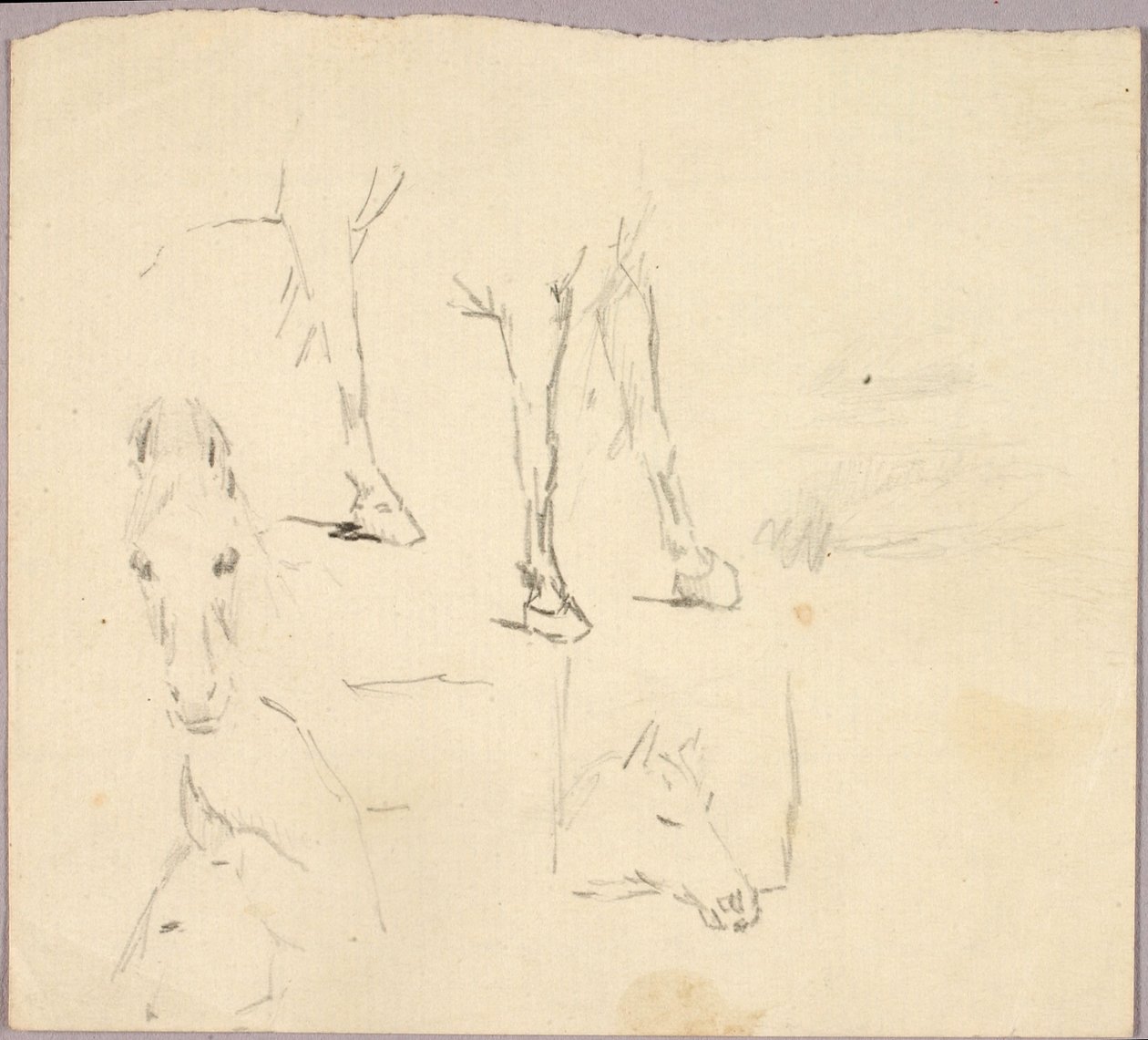 Horses by Solon H. Borglum