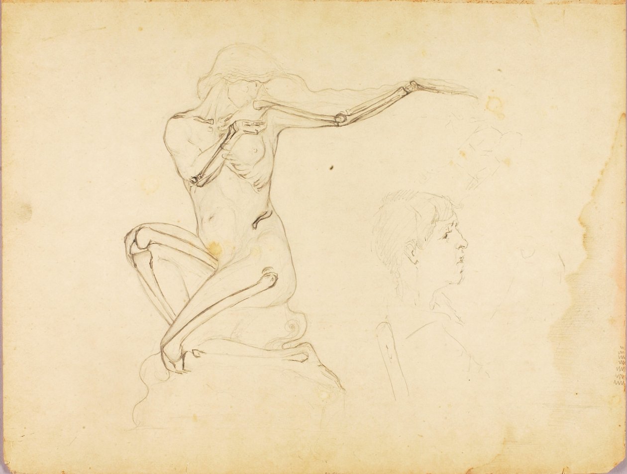 Untitled by Solon H. Borglum