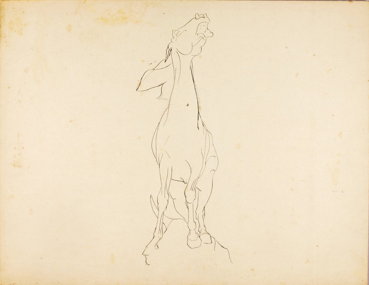 Untitled by Solon H. Borglum