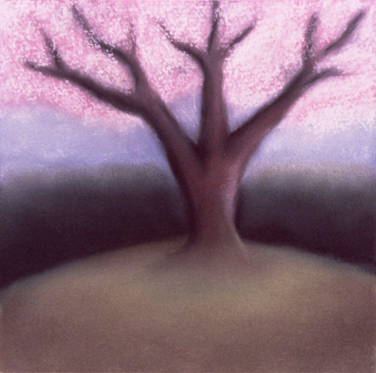 Blossom Tree by Sophie Hacker