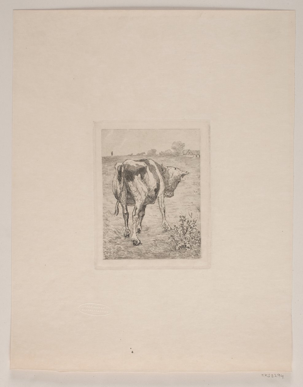 A Calf by Søren Lund