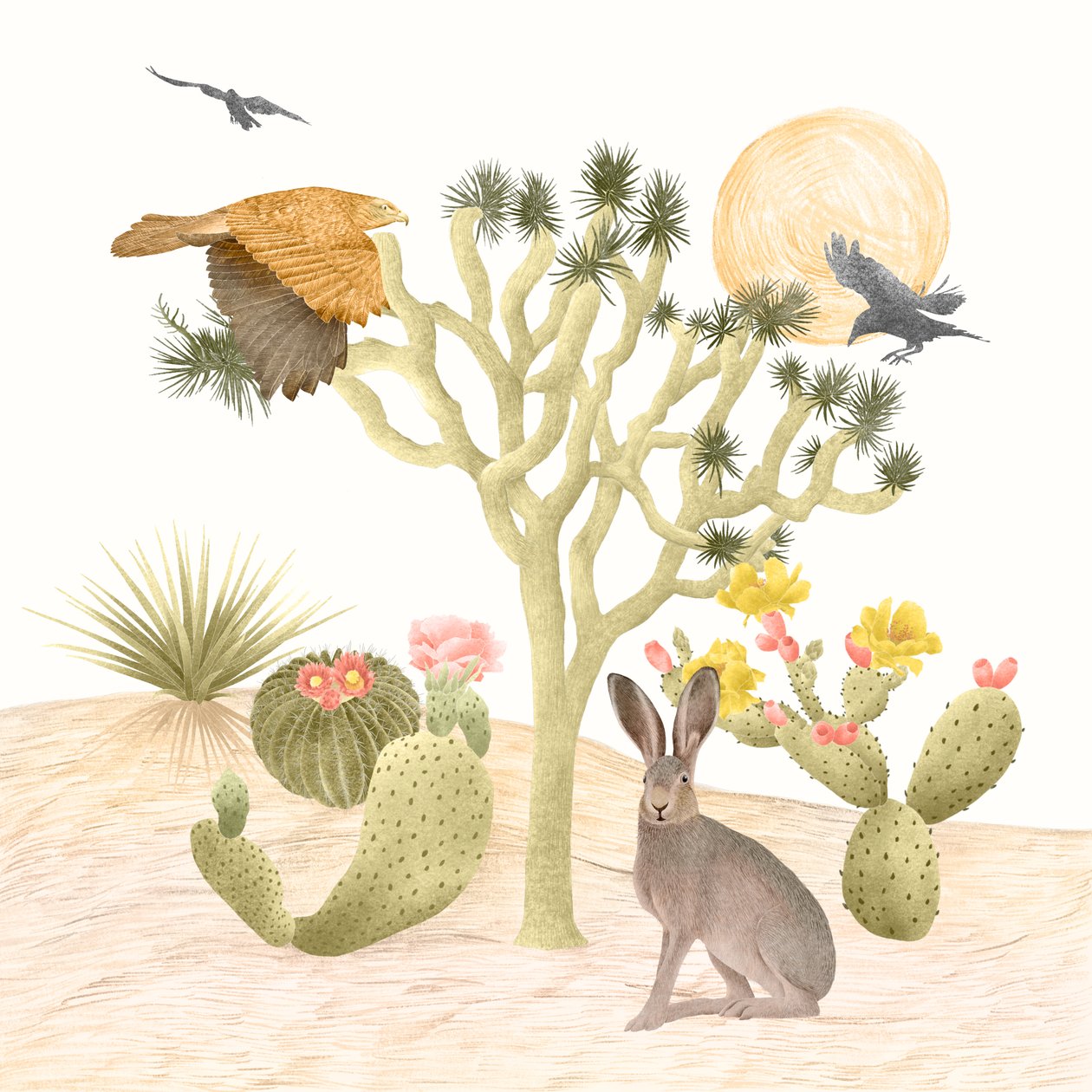 Mojave Desert by Stacy Hsu