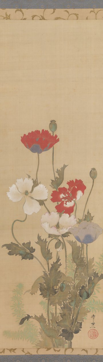 Poppies by Suzuki Kiitsu