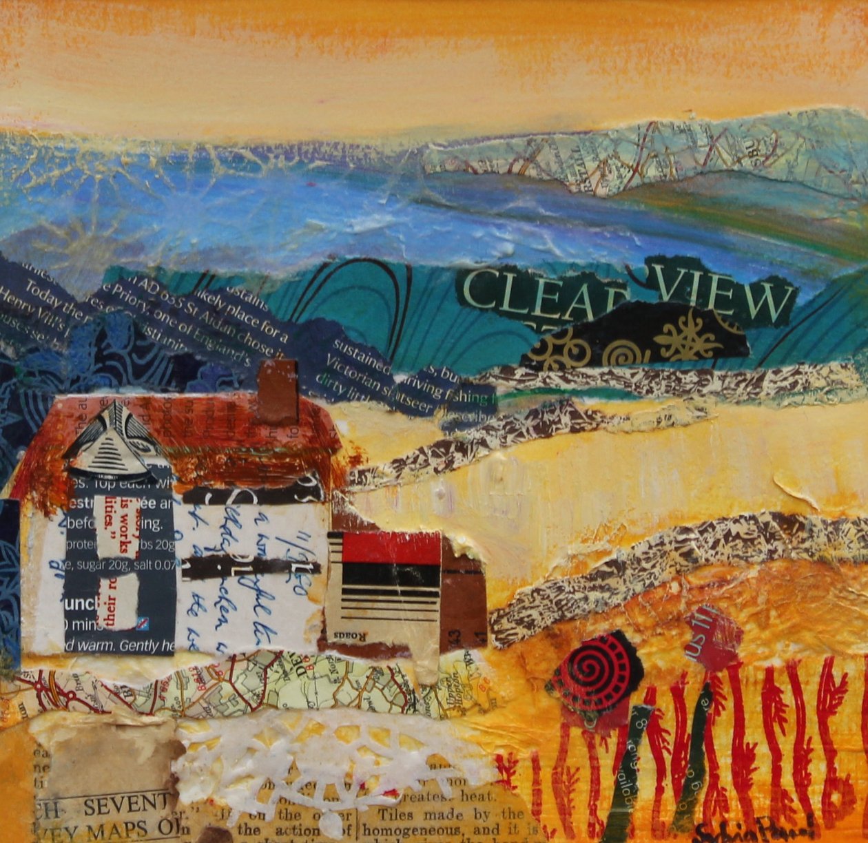 A Clear View by Sylvia Paul