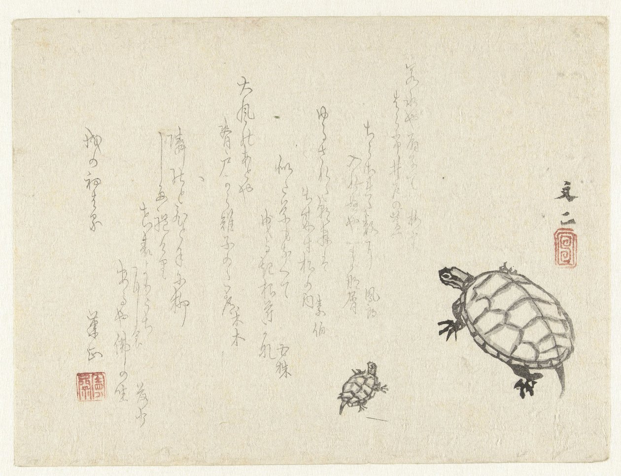 Two turtles by Tani Bunji