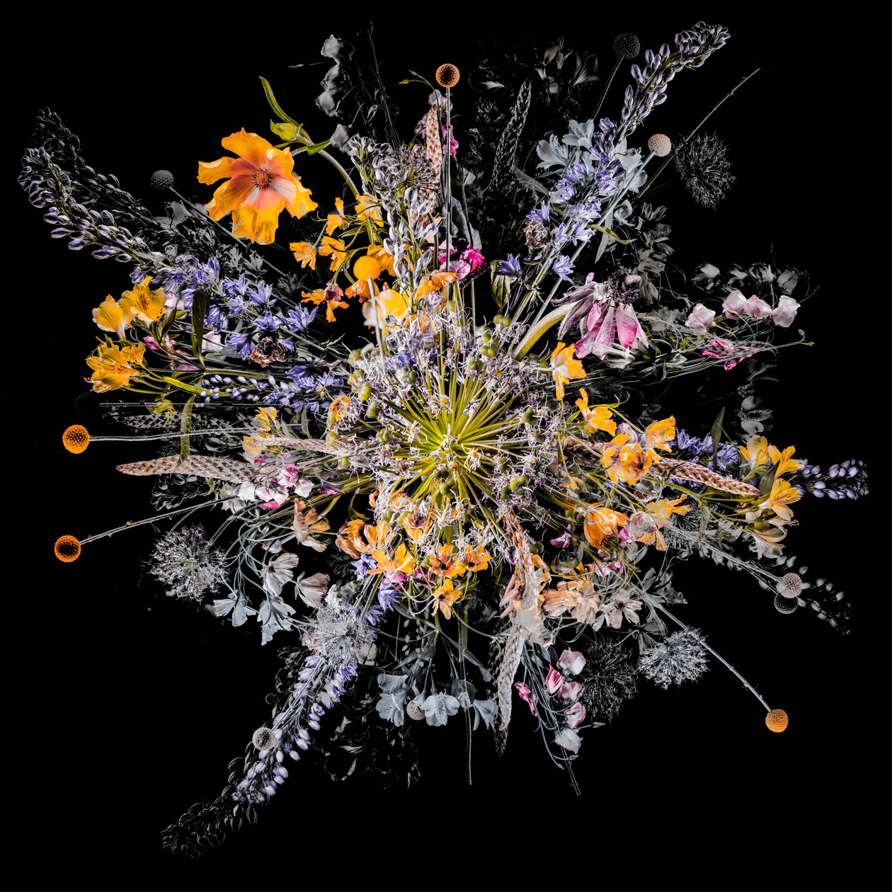Bouquet VII, 2018 by Teis Albers